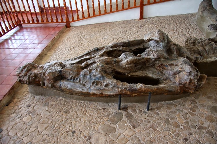 El Fossíl - Villa de Leyva - Colombia